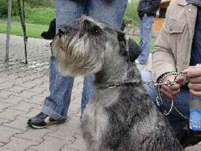 DSCN1573 Kleine Webansicht