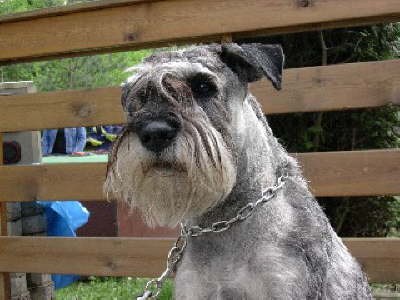 DSCN1588 Kleine Webansicht