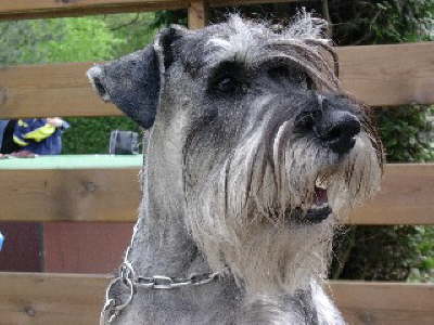 DSCN1589 Kleine Webansicht