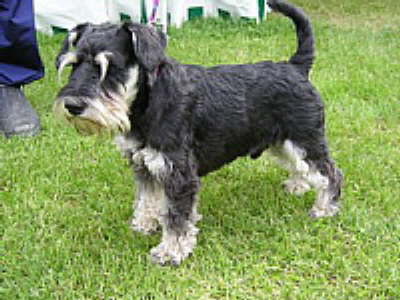 db_2_Kleine_Webansicht