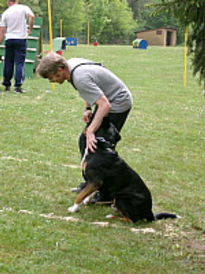 db_5__21__Kleine_Webansicht