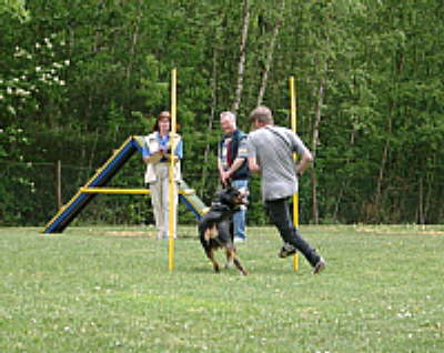 db_5__22__Kleine_Webansicht