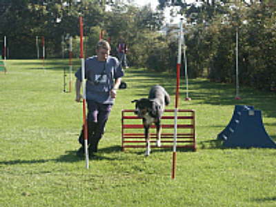 db_7__5__Kleine_Webansicht