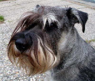 psk 4 Kleine Webansicht