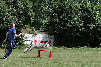 ths_turnier_20110619_1093327998