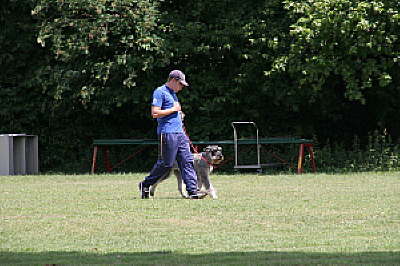 ths_turnier_20110619_1097277808