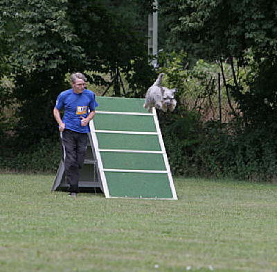 ths_turnier_20110619_1976938060